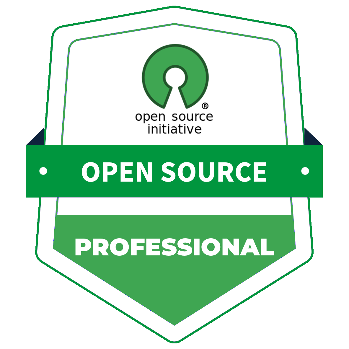 Open Source Contributor